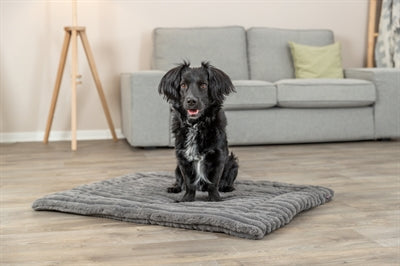 Product image of:TRIXIE LIGMAT LONNI RIBFLUWEEL GRIJS