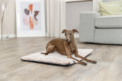 Product image of:TRIXIE LIGMAT CALIDA MET WARMTEREFLECTERENDE VULLING WIT-BRUIN