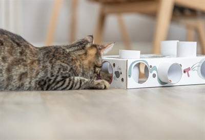 Product image of:TRIXIE CAT ACTIVITY PAWS'N'TREATS BOX KARTON