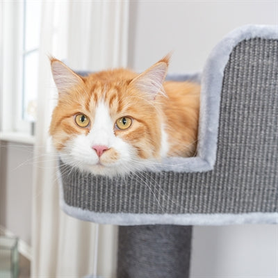 Product image of:TRIXIE KRABPAAL AVA II XXL GRIJS