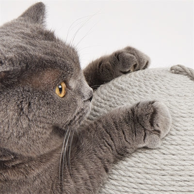 Product image of:FOFOS KRAB BAL