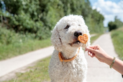 Product image of:TRIXIE PREMIO LOLLY MET KIP EN RIJST