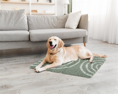 Product image of:ZOLUX HONDENDEKEN VETBED BOOG GROEN
