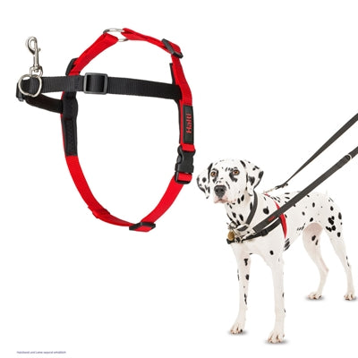 Product image of:HALTI HARNESS FRONT CONTROL ZWART
