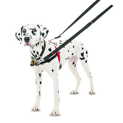 Product image of:HALTI HARNESS FRONT CONTROL ZWART