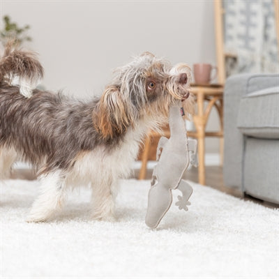 Product image of:TRIXIE SALAMANDER LEER