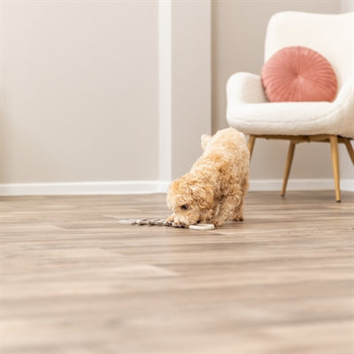 Product image of:TRIXIE VISGRAAT LEER MET TOUW