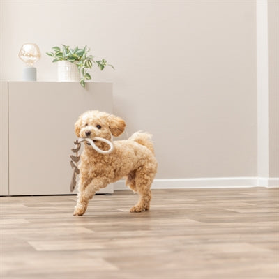 Product image of:TRIXIE VISGRAAT LEER MET TOUW