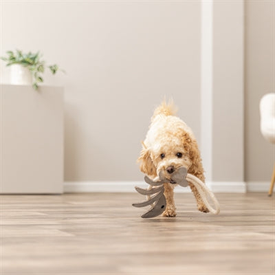 Product image of:TRIXIE VISGRAAT LEER MET TOUW