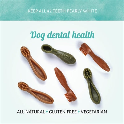 Product image of:ANTOS MIXED BRUSH