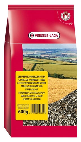 Product image of:PRESTIGE GESTREEPTE ZONNEBLOEMPITTEN