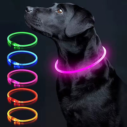 Verstelbare LED Hondenhalsband – USB Oplaadbaar – Veilig & Waterdicht – Voor Kleine en Grote Honden