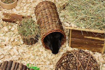 Product image of:HAPPY PET WILGEN TUNNEL