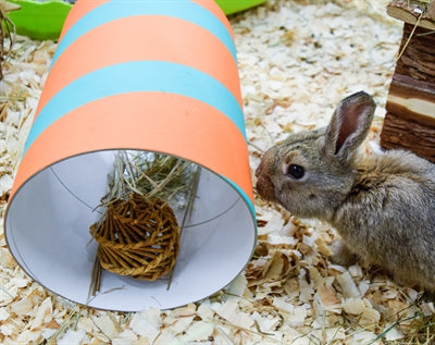 Product image of:HAPPY PET WILGEN VALUE PACK 2 STICKS / 2 BALLEN