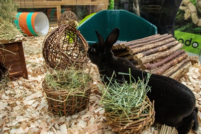 Product image of:HAPPY PET WILGEN HOOIREK