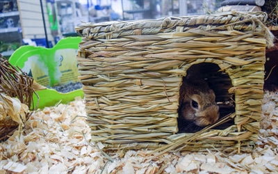 Product image of:HAPPY PET GRASSY HIDEAWAY VERSTOPPLEK