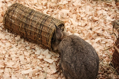 Product image of:HAPPY PET WILGEN TUNNEL