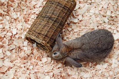 Product image of:HAPPY PET WILGEN TUNNEL