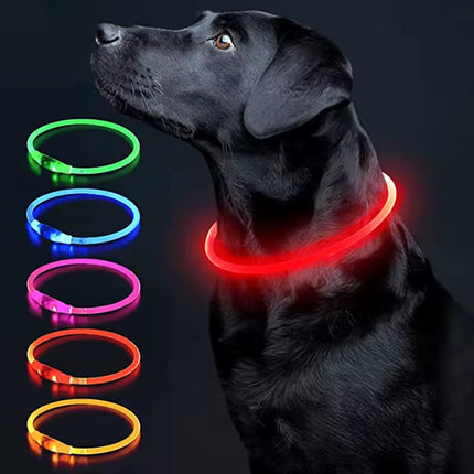 Verstelbare LED Hondenhalsband – USB Oplaadbaar – Veilig & Waterdicht – Voor Kleine en Grote Honden
