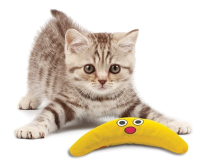 Product image of:PETSTAGES GREEN MAGIC BOOMERANG BUDDY