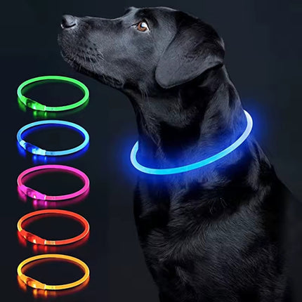 Verstelbare LED Hondenhalsband – USB Oplaadbaar – Veilig & Waterdicht – Voor Kleine en Grote Honden