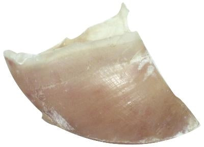 Product image of:DOGSTAR KALFSHOEVEN GROOT