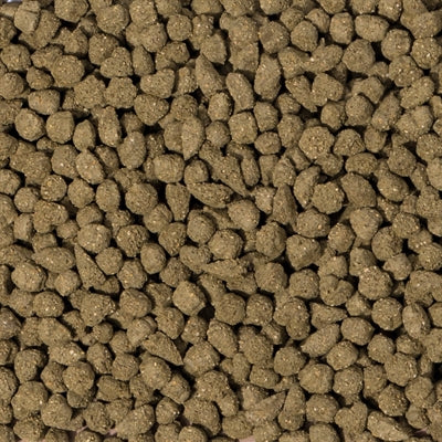 Product image of:BEAPHAR CARE+ KONIJN SENIOR