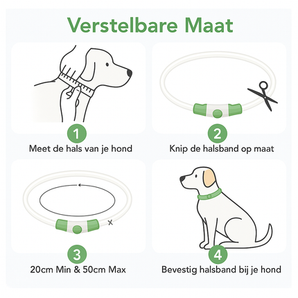 Verstelbare LED Hondenhalsband – USB Oplaadbaar – Veilig & Waterdicht – Voor Kleine en Grote Honden